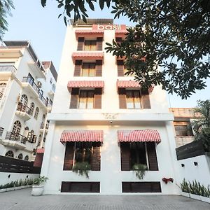 Siesta Basil - Okhla